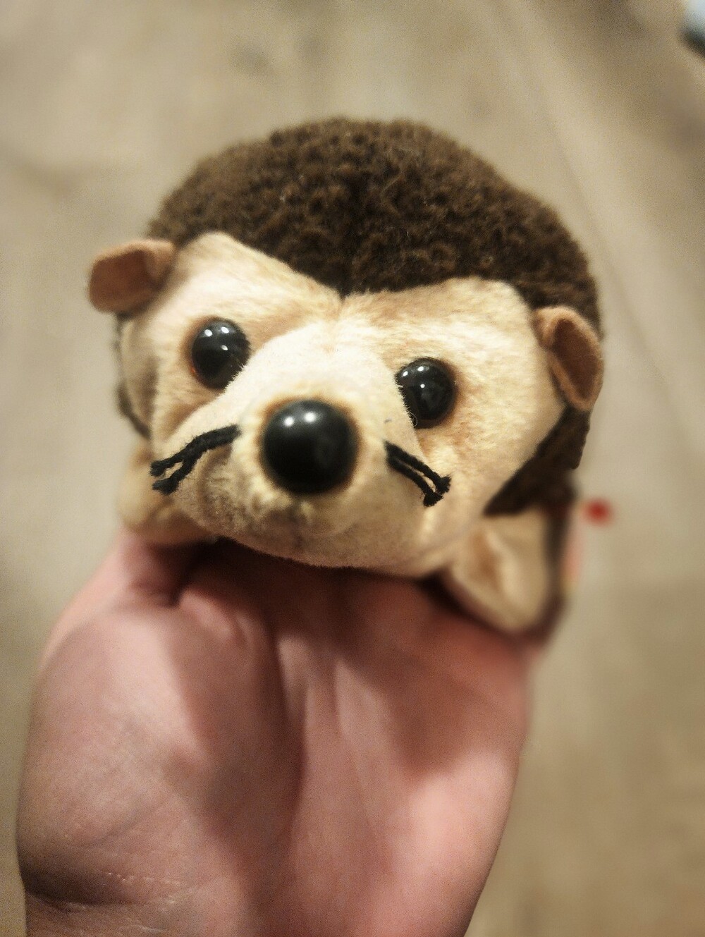 Ty Beanie Baby Prickles the Hedgehog.